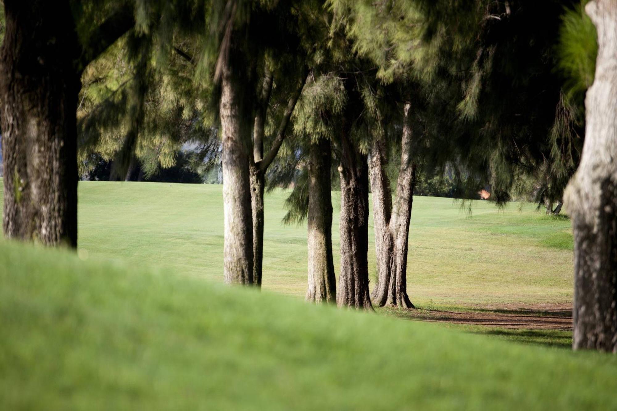 Denia Marriott La Sella Golf Resort & Spa Kültér fotó The park
